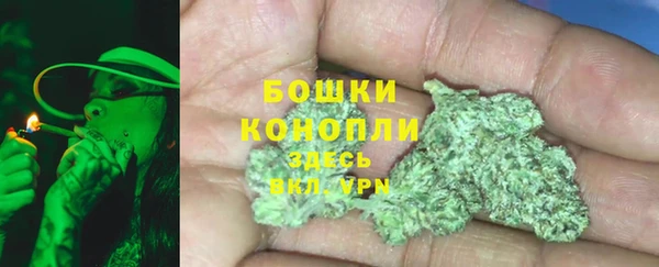 мет Арсеньев