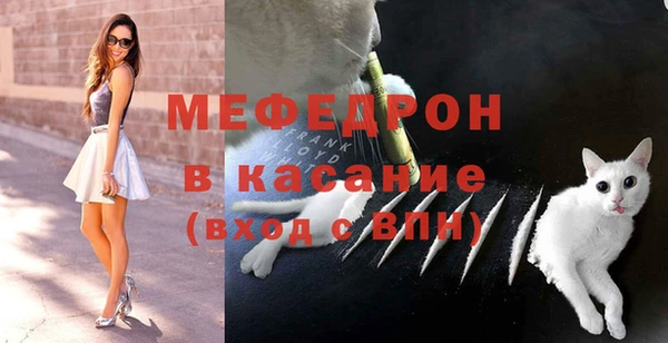 шишки Белокуриха