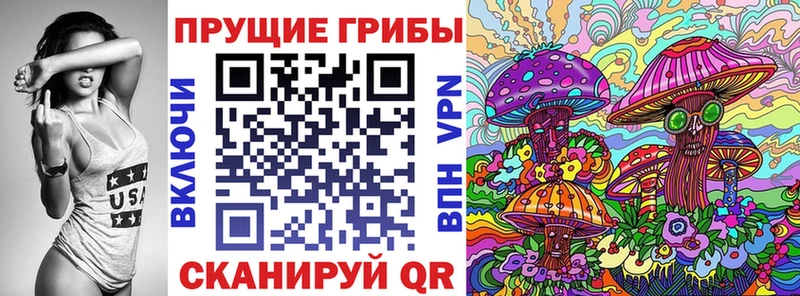 Купить закладки  Липки  Галлюциногенные грибы Psilocybine cubensis 